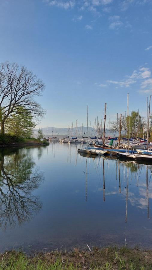 Laguna24 Jezioro Zywieckie Klimatyzowany Apartament 40 M2 Zarzecze  Extérieur photo